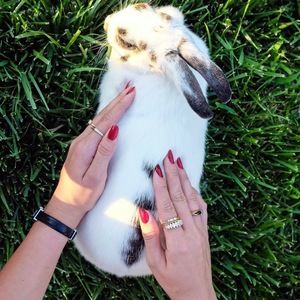 Meet your Posher, Christian